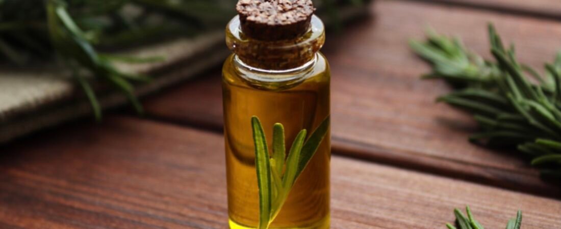 Rosemary oil for hair growth: how to use it for real results🌿